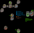 Annotated map of Level 6 Mines - Cavedweller Village (interior)