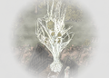畫上奧爾彌爾的符號後召喚出的樹。